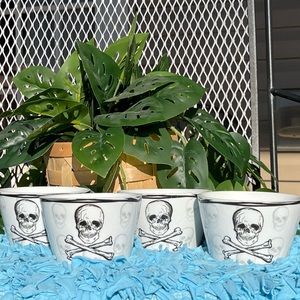 Skull bowls